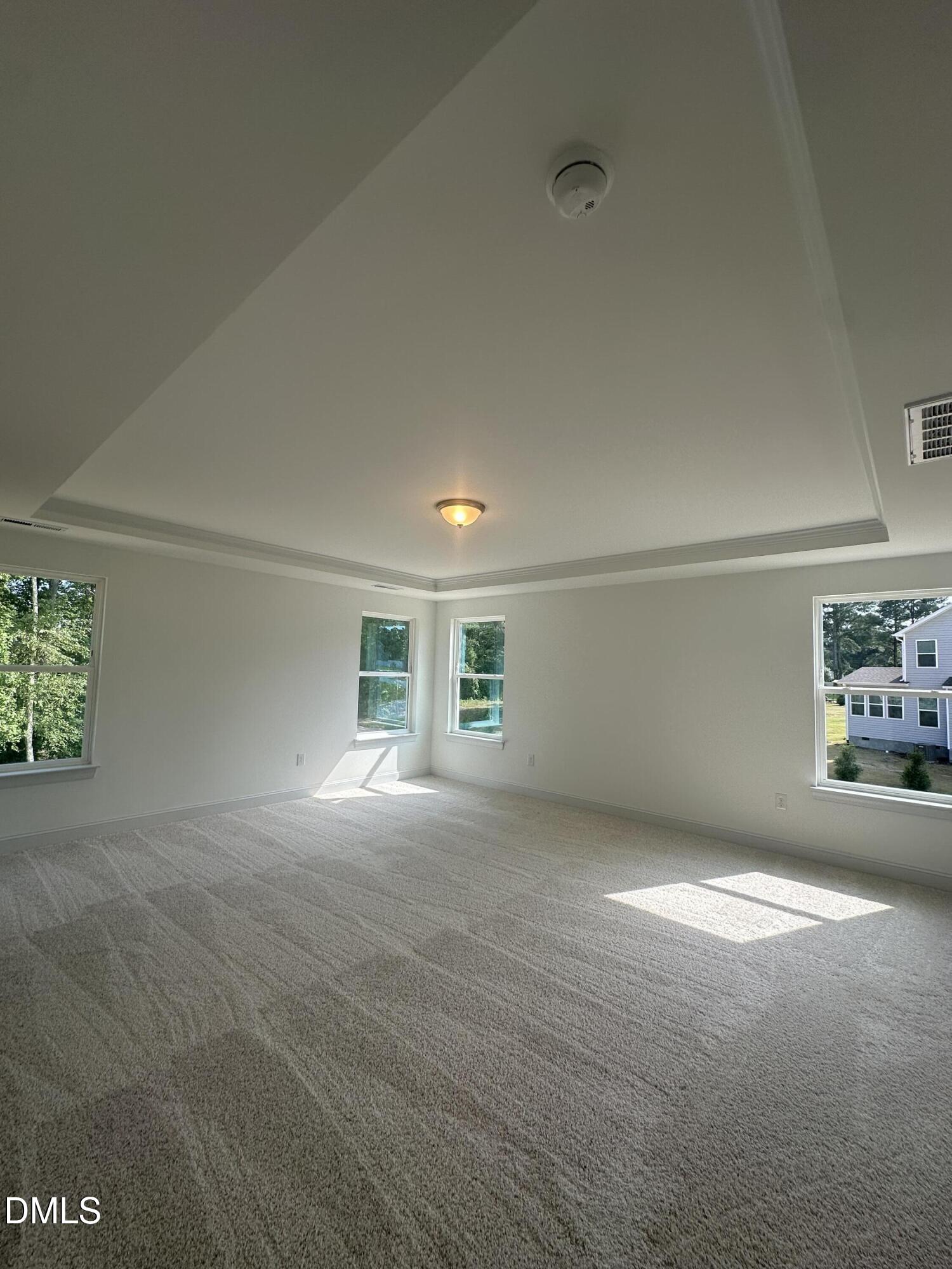 250 Rising Star Dr Drive Property Photo 26
