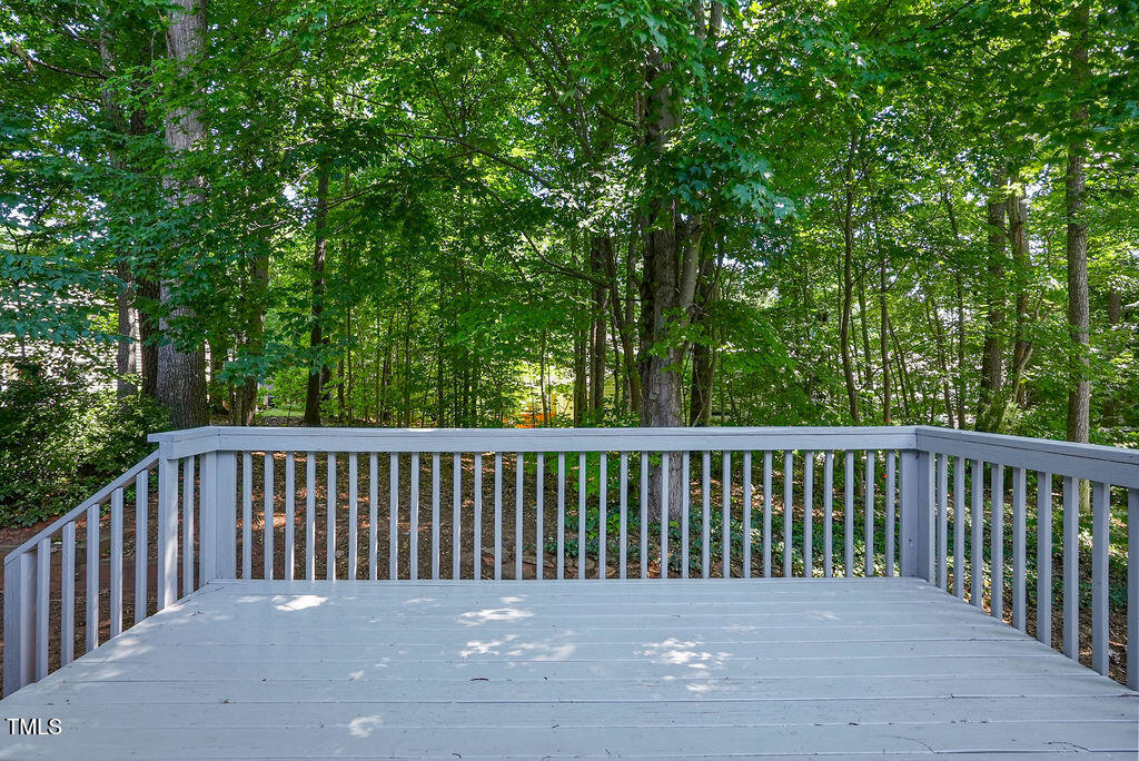 125 Chimney Rise Drive Property Photo 37