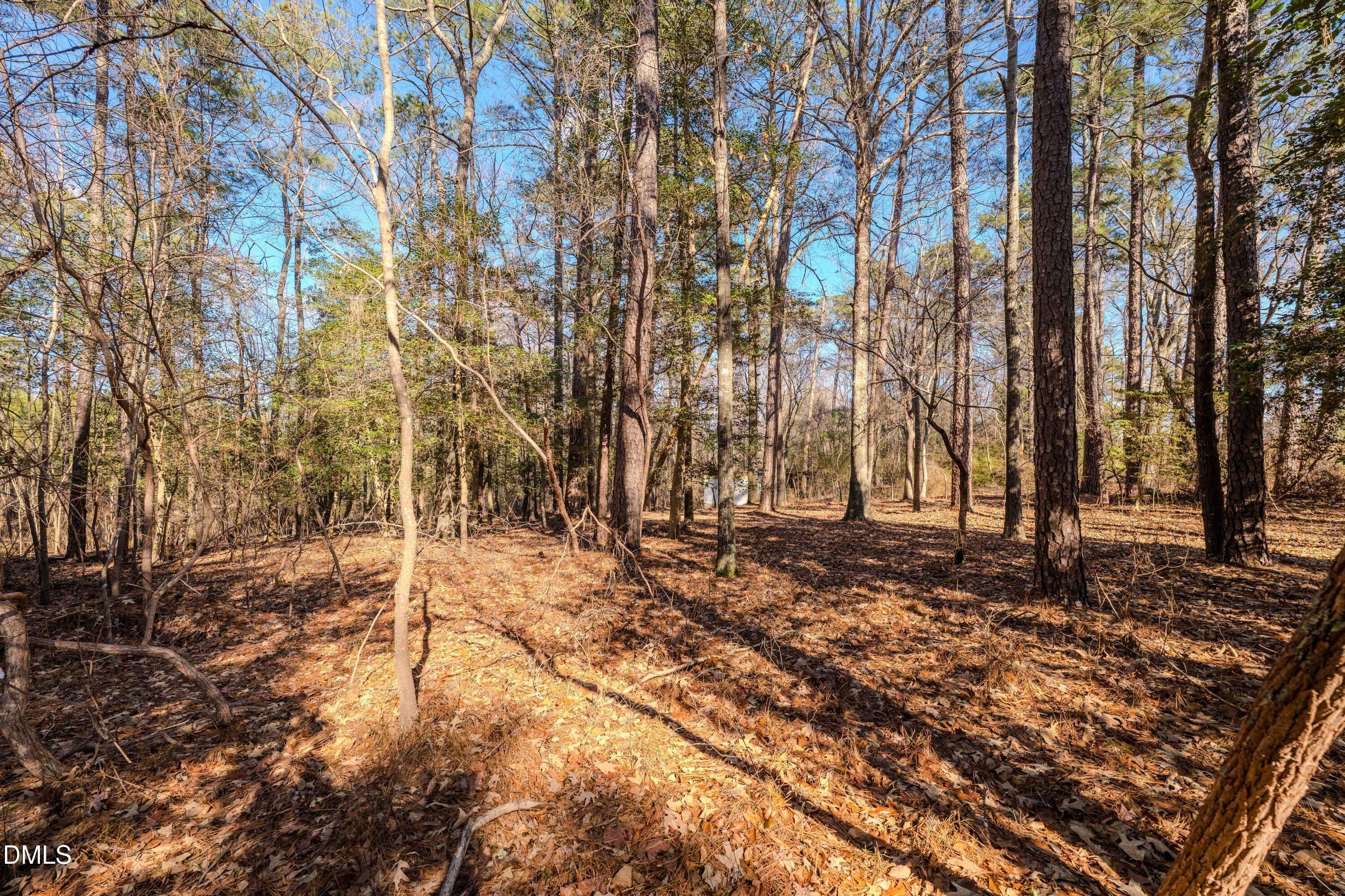 6724 Wimberly Road Property Photo 22