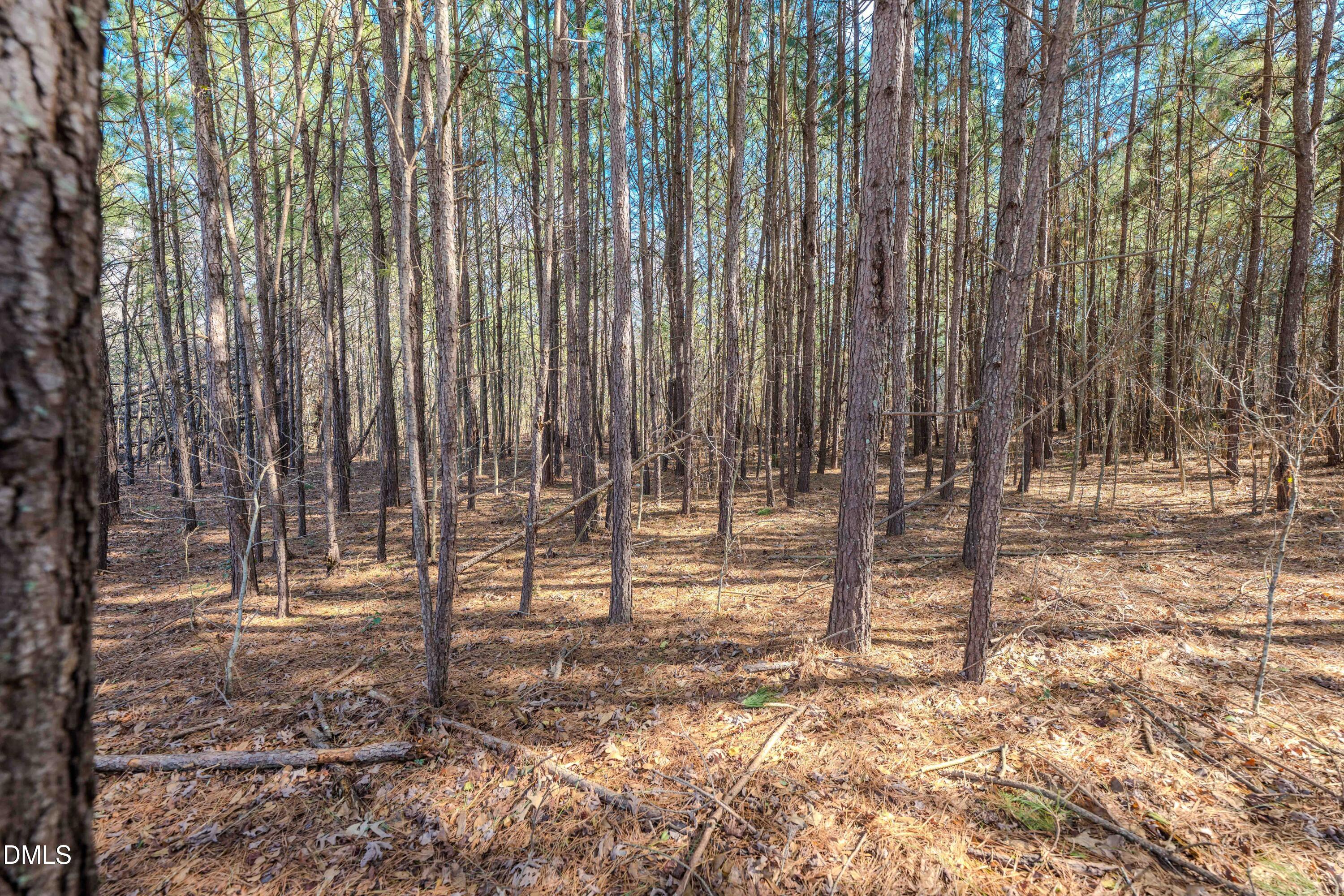 6724 Wimberly Road Property Photo 30