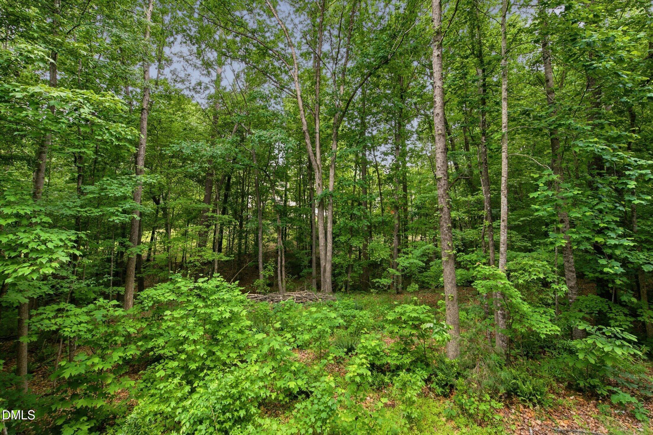 314 Bridgegate Drive Property Photo 45