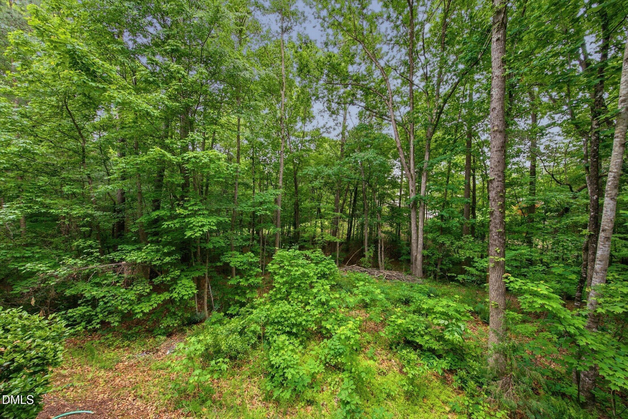 314 Bridgegate Drive Property Photo 46