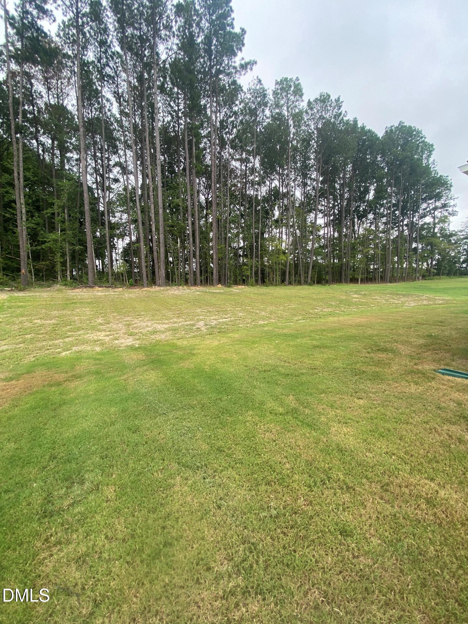 288 Digging Time Avenue Property Photo 43