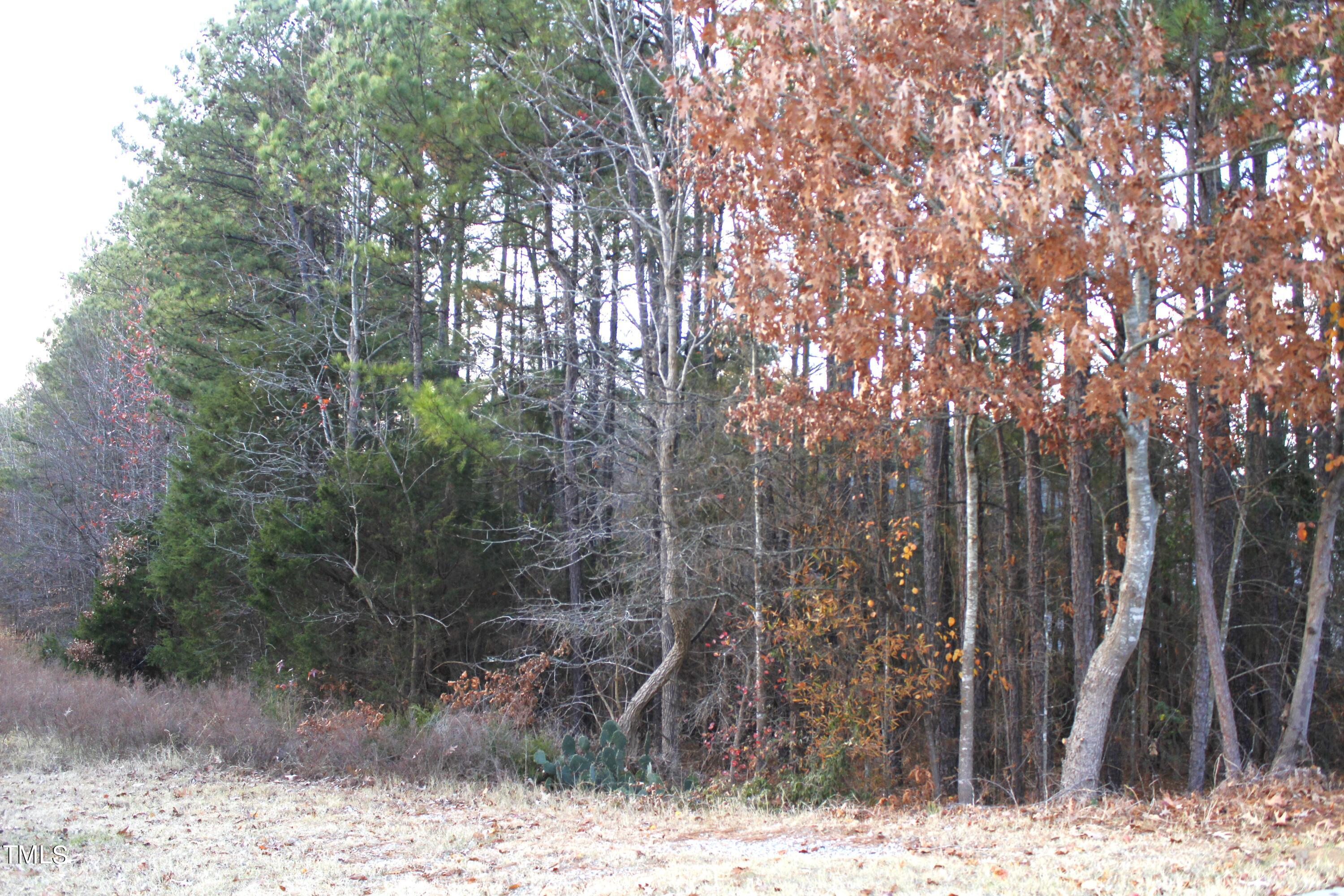 2309 Hill Street Property Photo 1