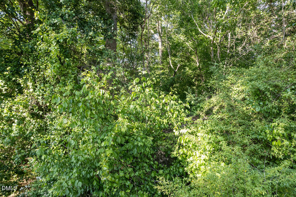 5809 Meadowlark Lane Property Photo 14