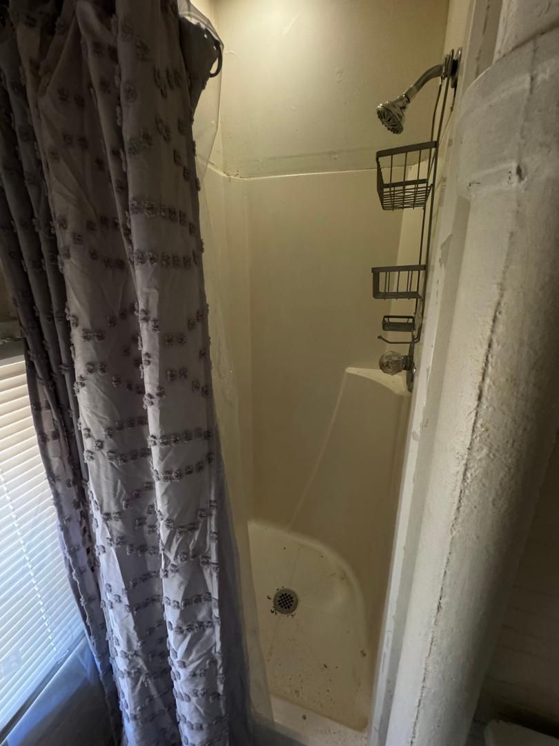 920 W Morgan Street Apt A Property Photo 7