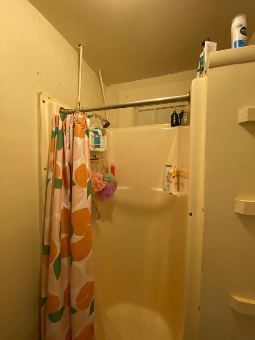 920 W Morgan Street Apt A Property Photo 11