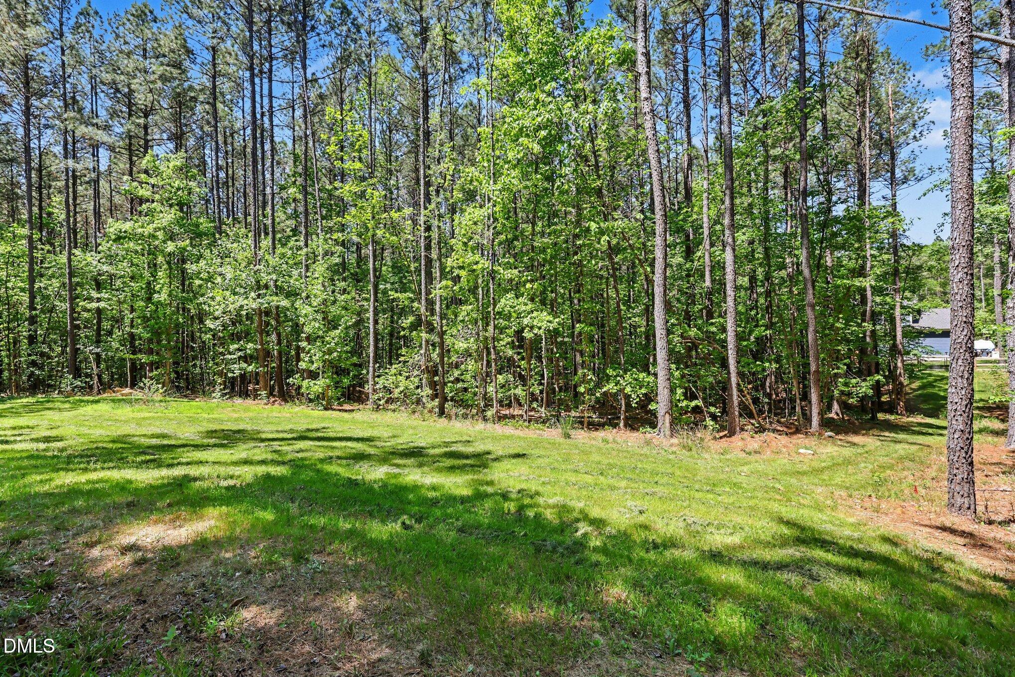 98 Anneliis Lane Property Photo 43