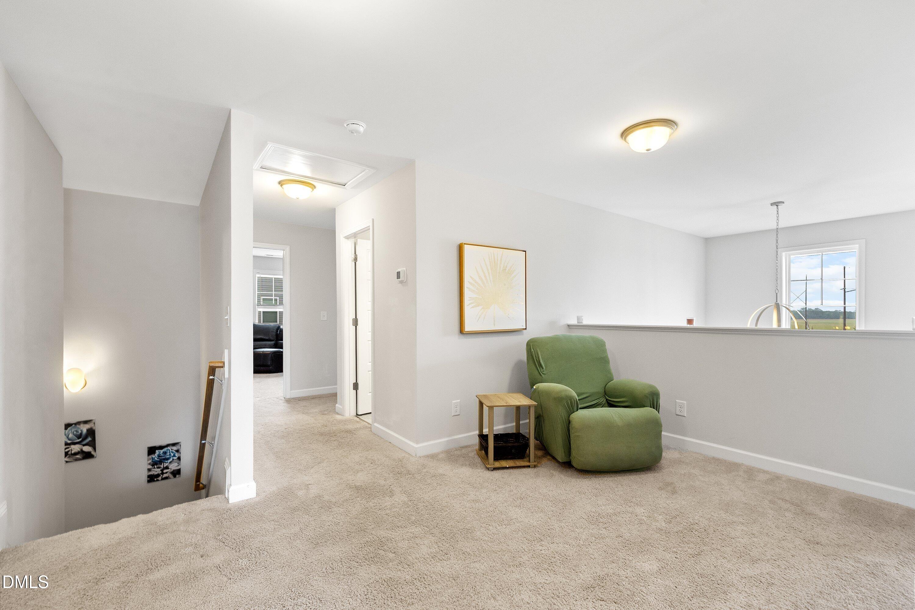 44 Pond Mountain Drive Property Photo 33