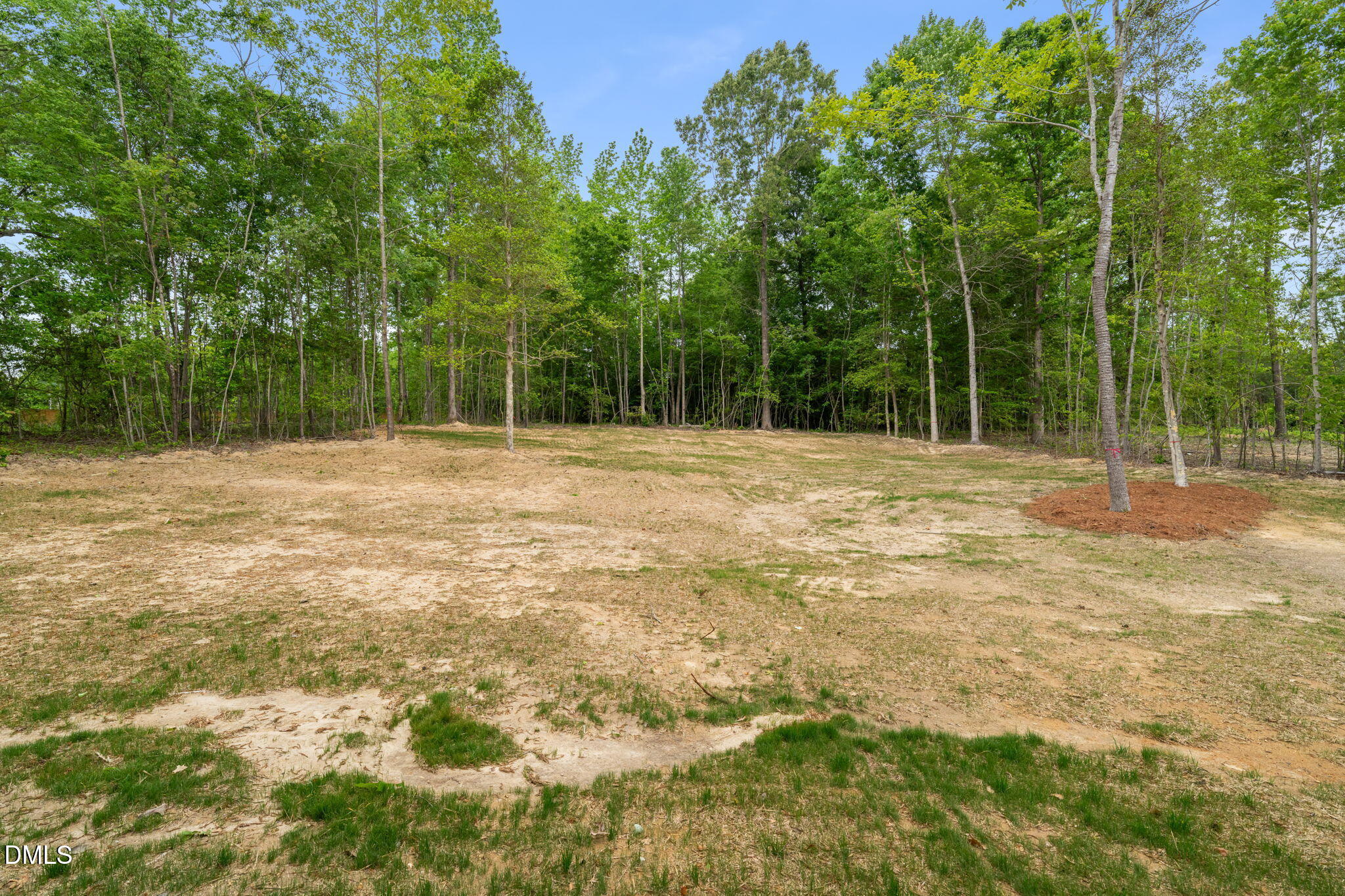 290 Pilot Ridge Road Property Photo 46