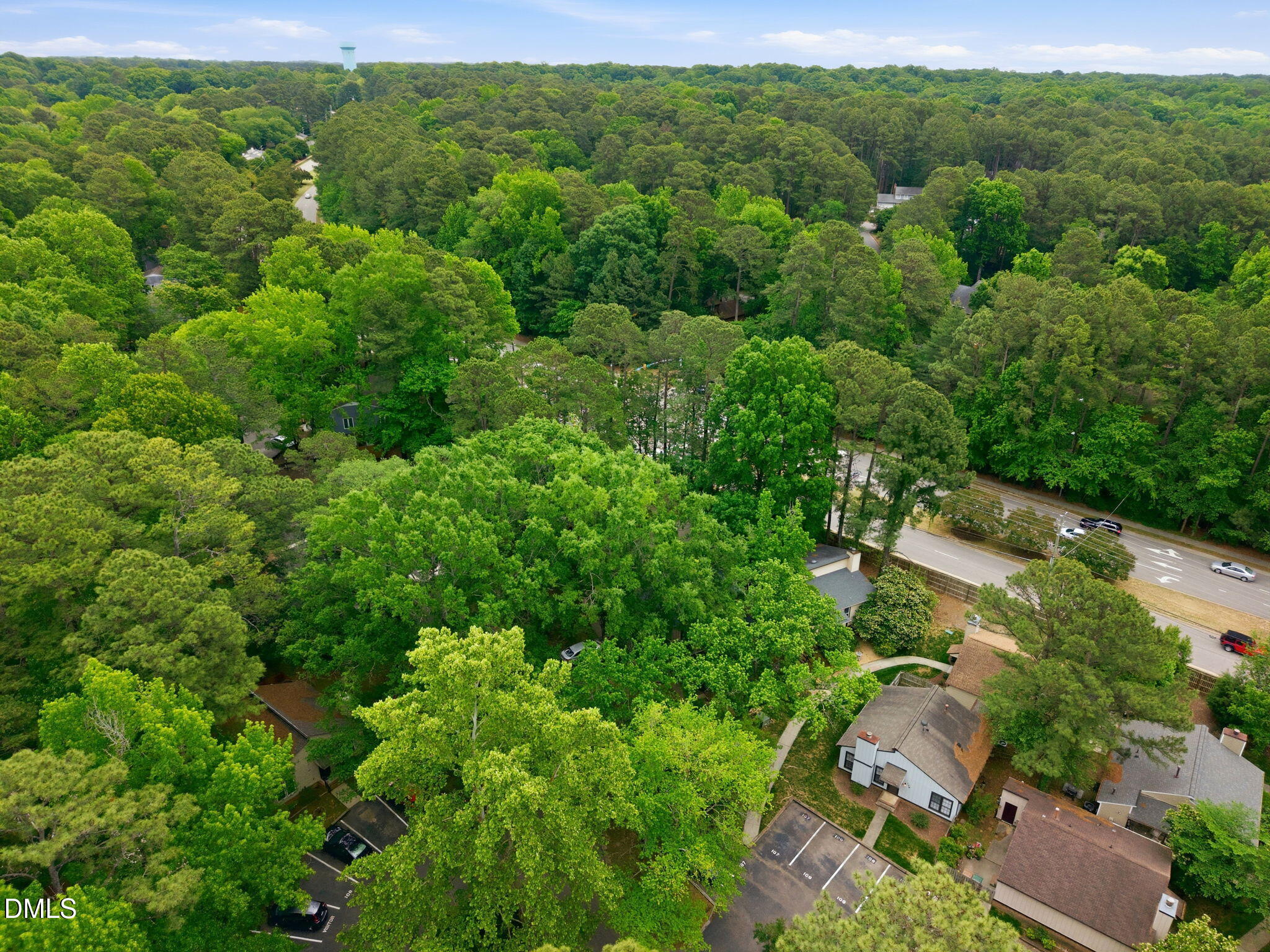 103 Bonnell Court Property Photo 44