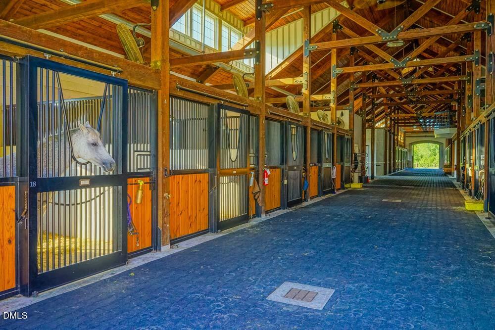 52 Pistoia Drive Property Photo 63