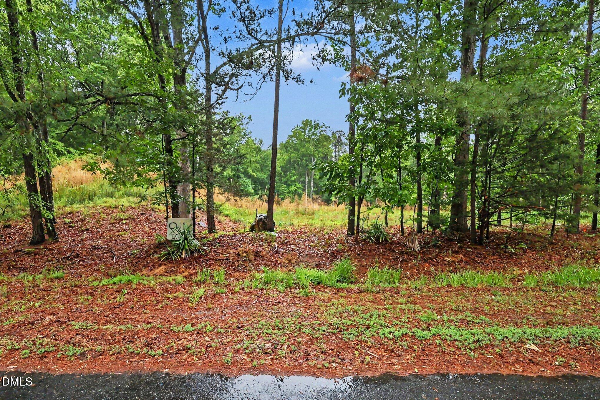 2116 Forest Ridge Place Property Photo 3