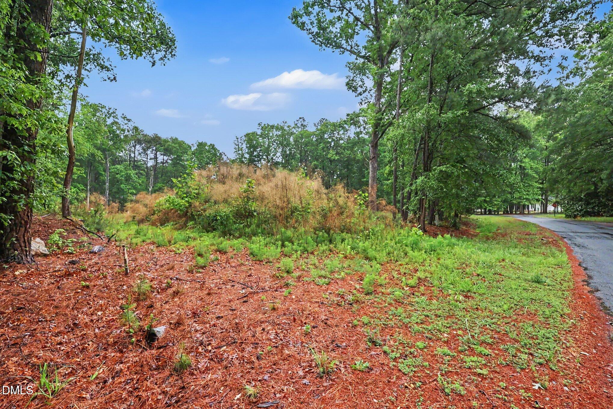 2116 Forest Ridge Place Property Photo 4