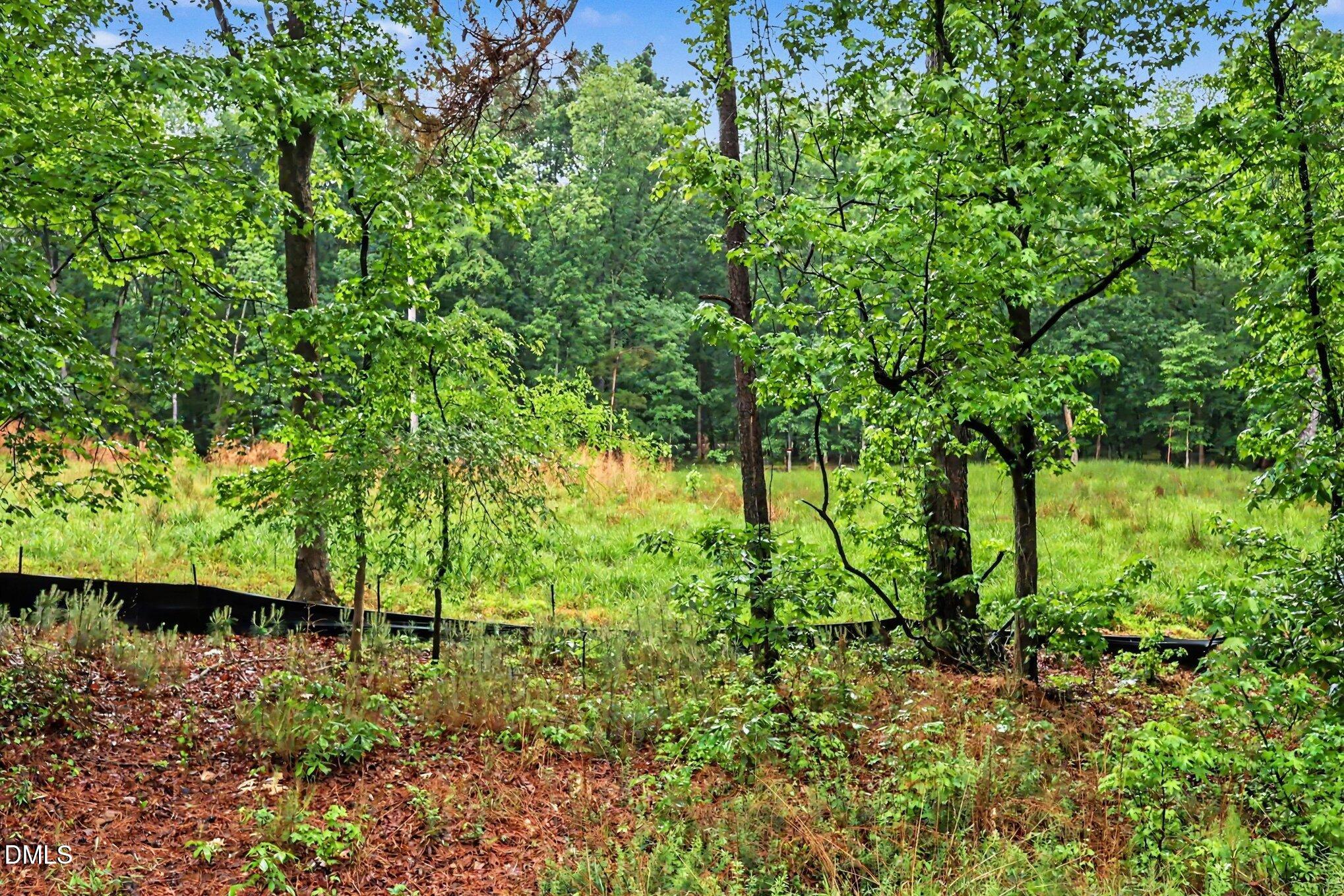 2116 Forest Ridge Place Property Photo 5
