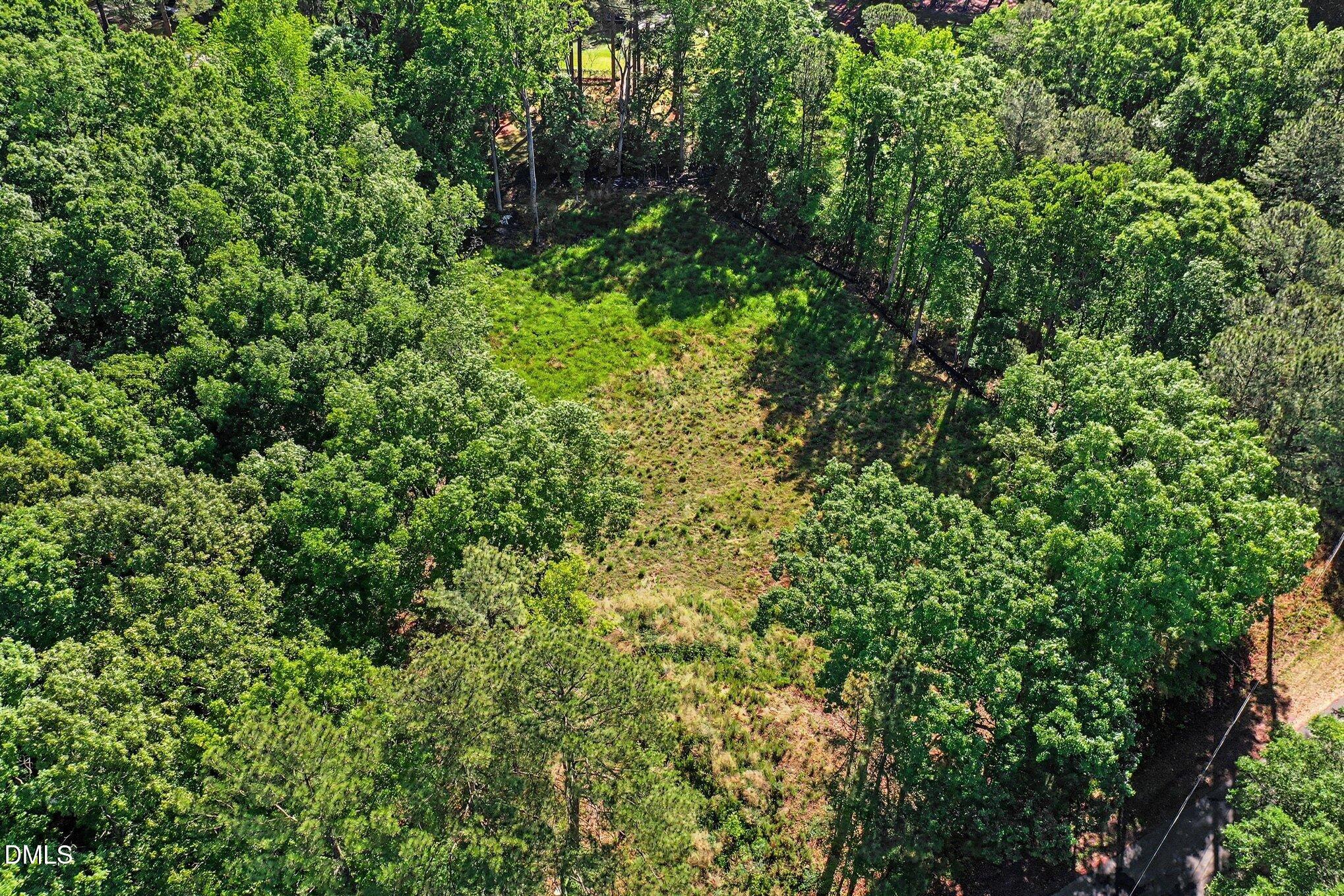 2116 Forest Ridge Place Property Photo 7