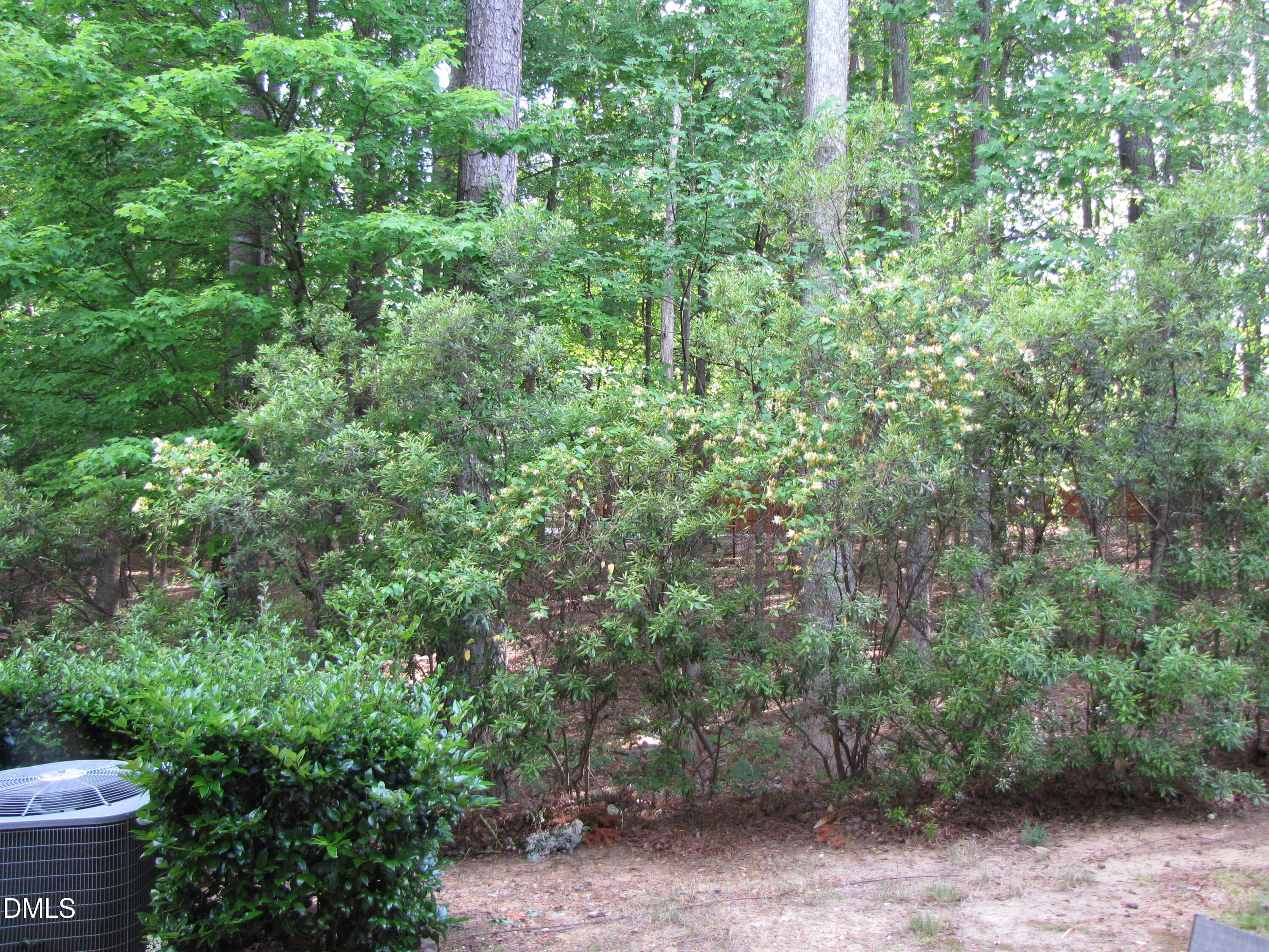 42 Intuition Circle Property Photo 10