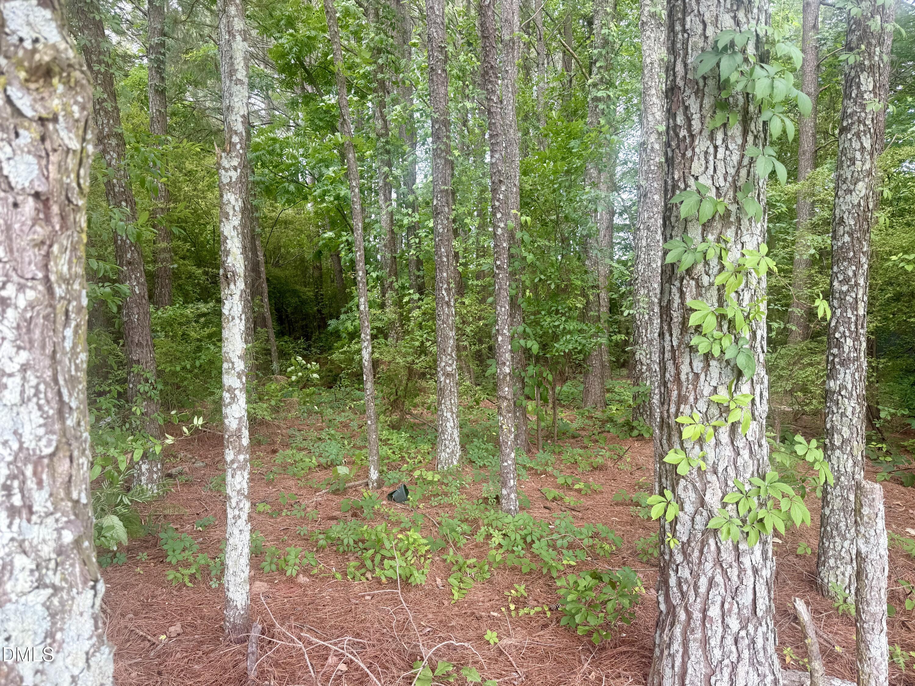 0 Happy Trails Lane Property Photo 1