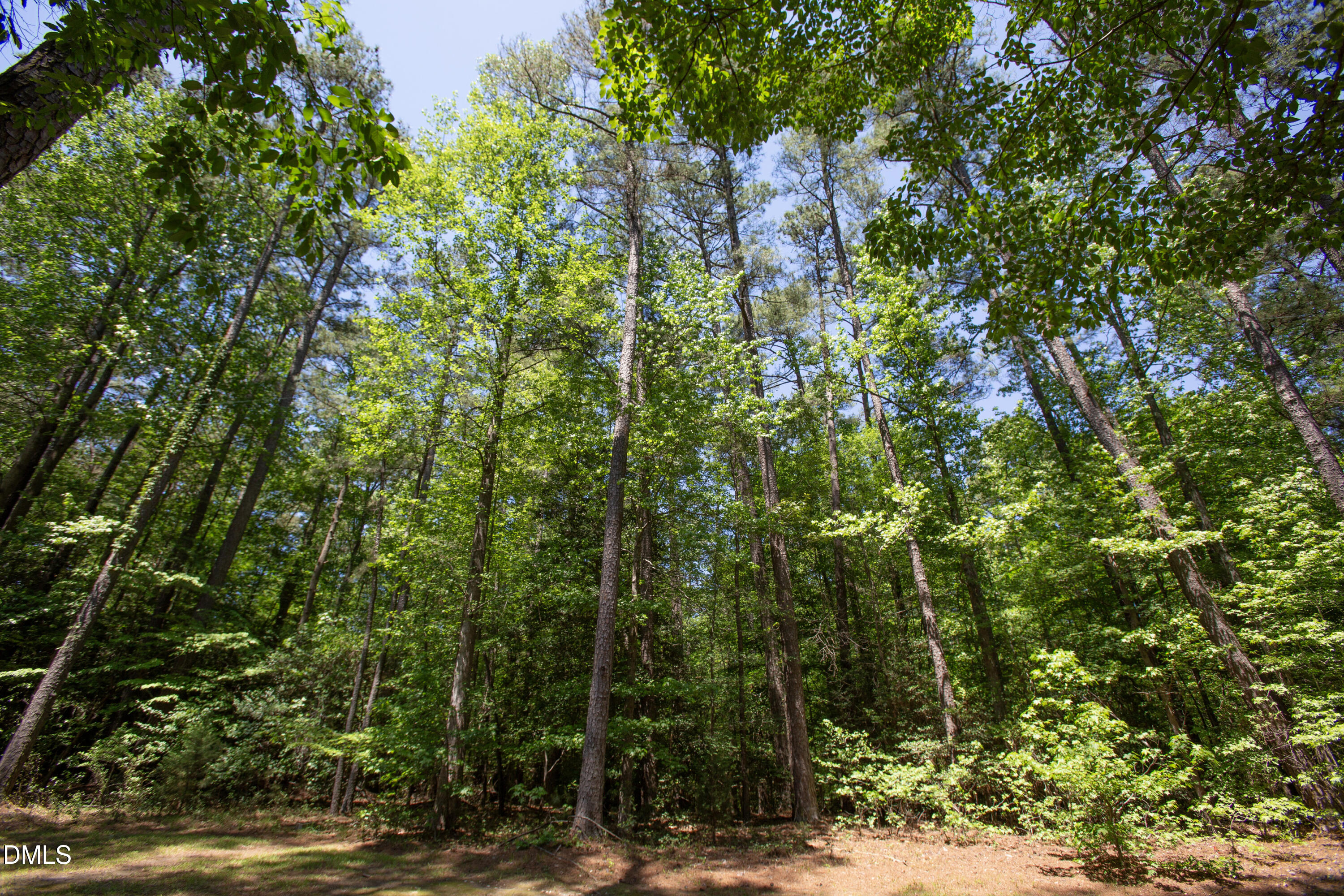 3005 Horse Shoe Farm Road Property Photo 20