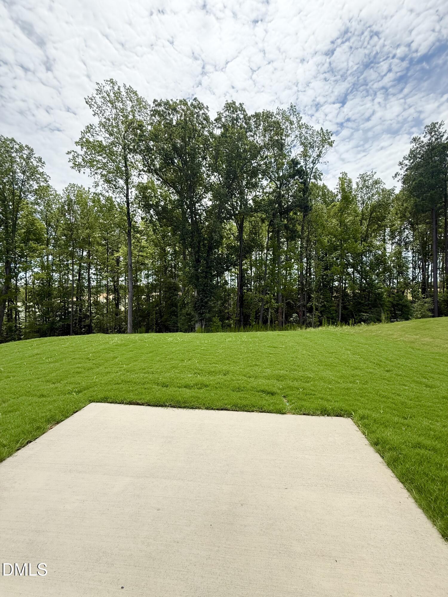 333 Providence Creek Drive Property Photo 7
