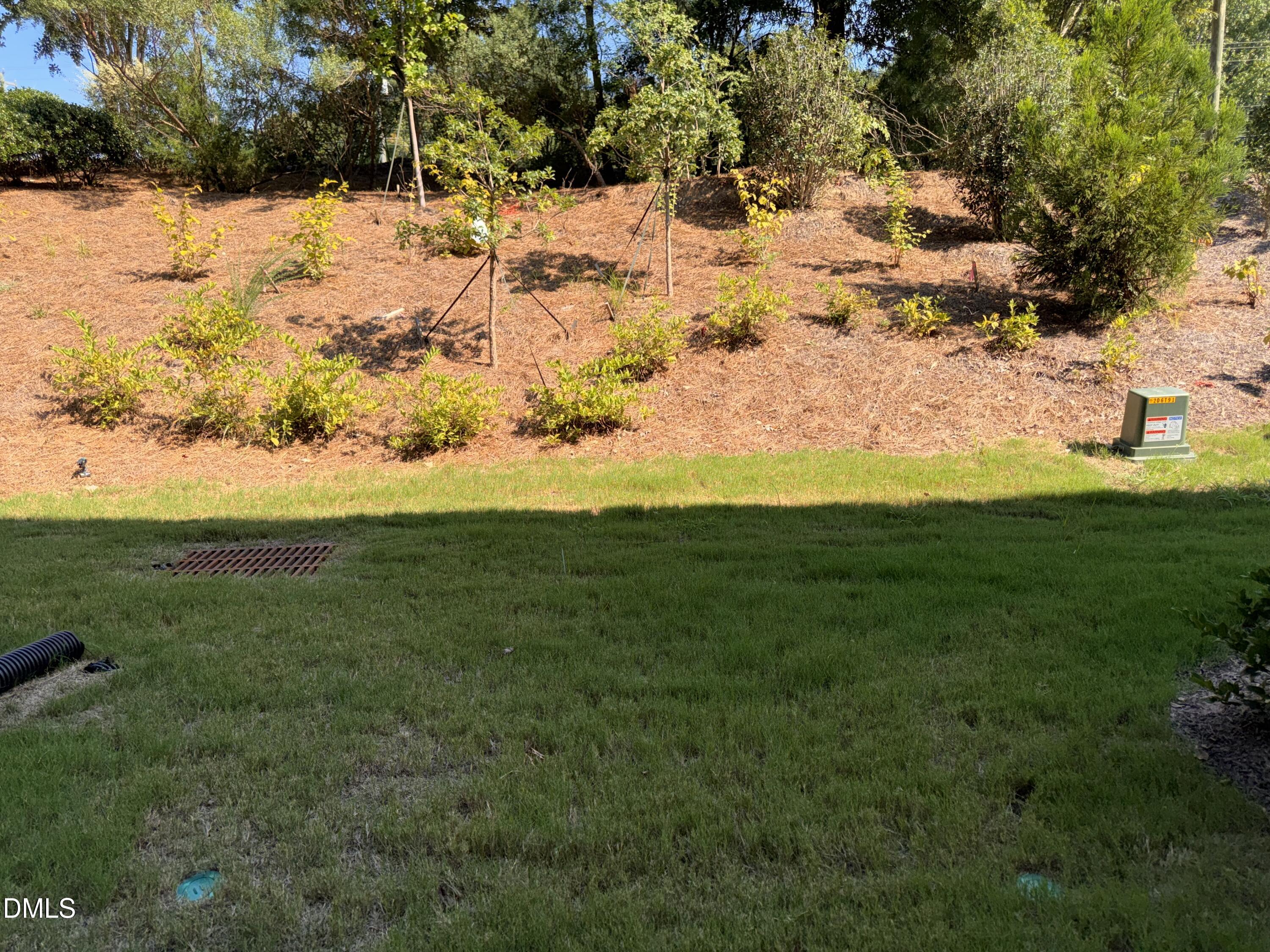1116 Bacchanal Lane Property Photo 34