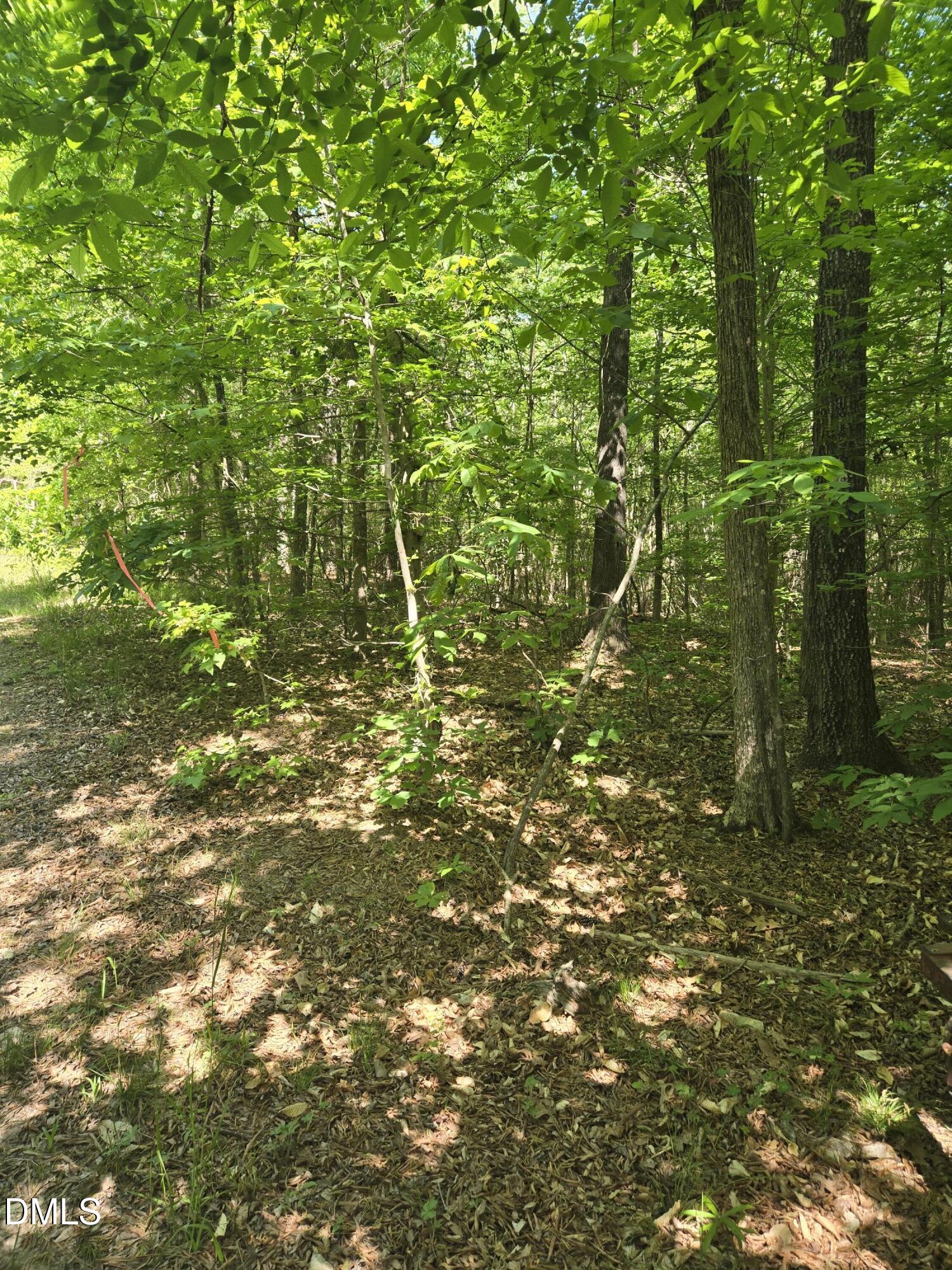 0 Bass Mountain Property Photo 7