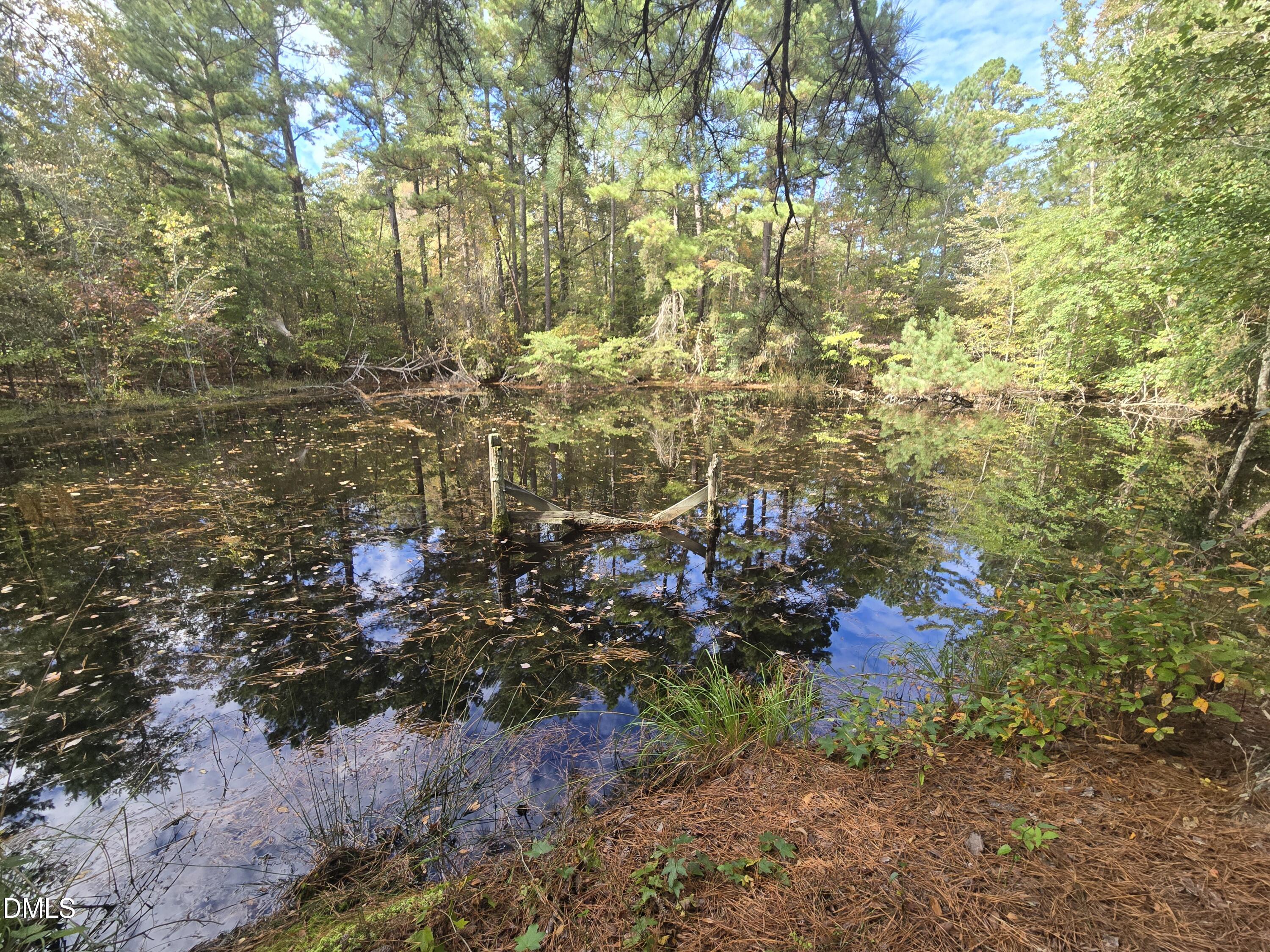 0 Bass Mountain Property Photo 8
