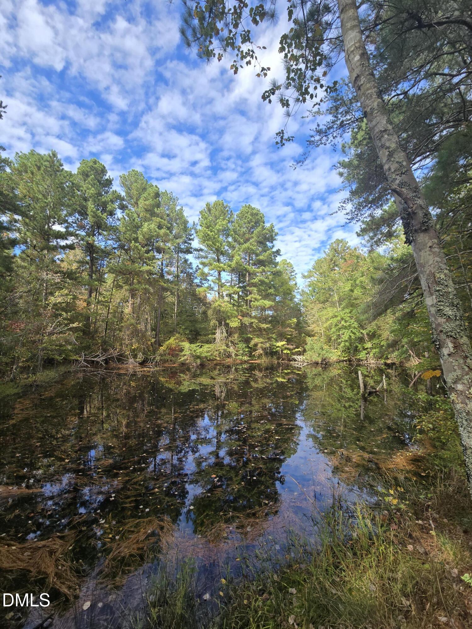 0 Bass Mountain Property Photo 9