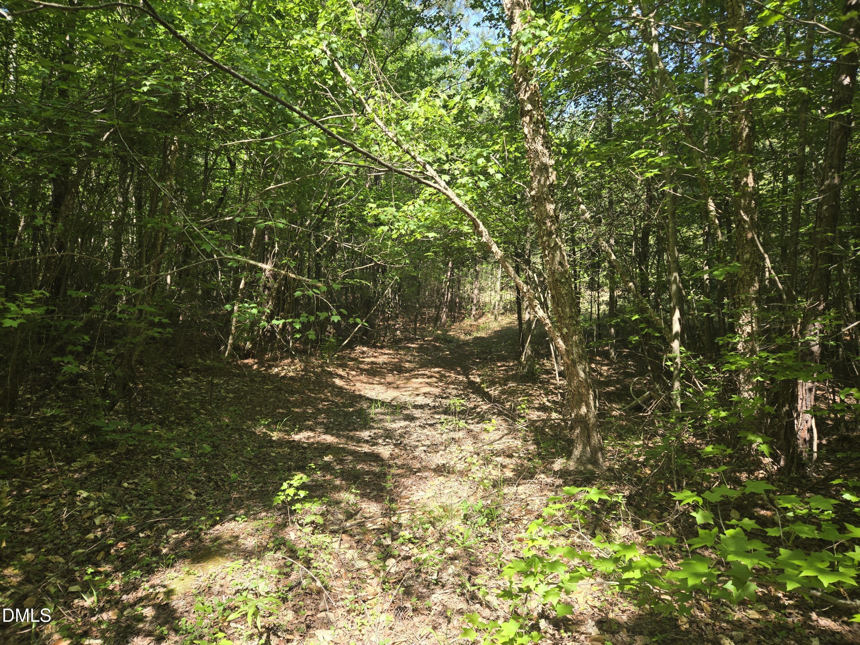 0 Bass Mountain Property Photo 12