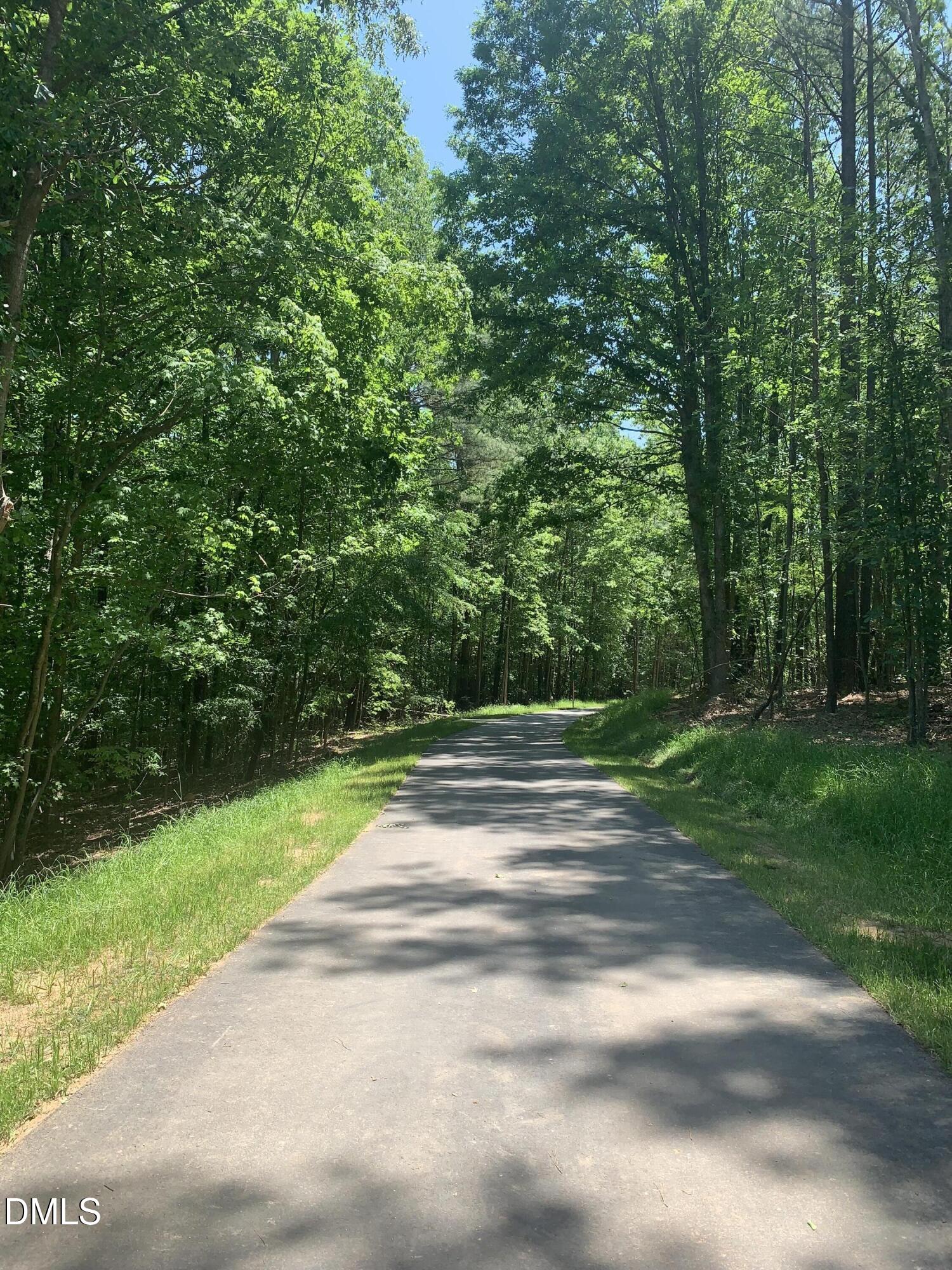 1169 Treetop Meadow Lane Property Photo 42