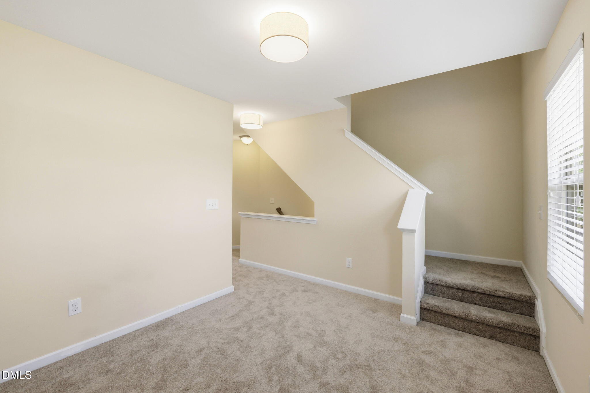 110 Mt Evans Drive Property Photo 25