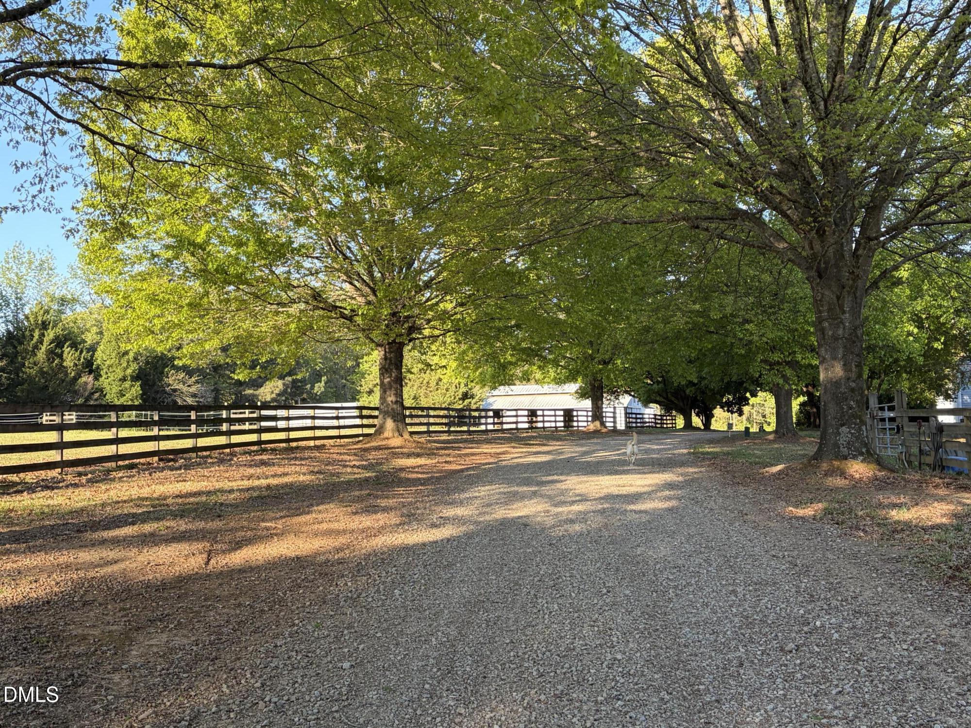220 Jordan Narron Road Property Photo 7