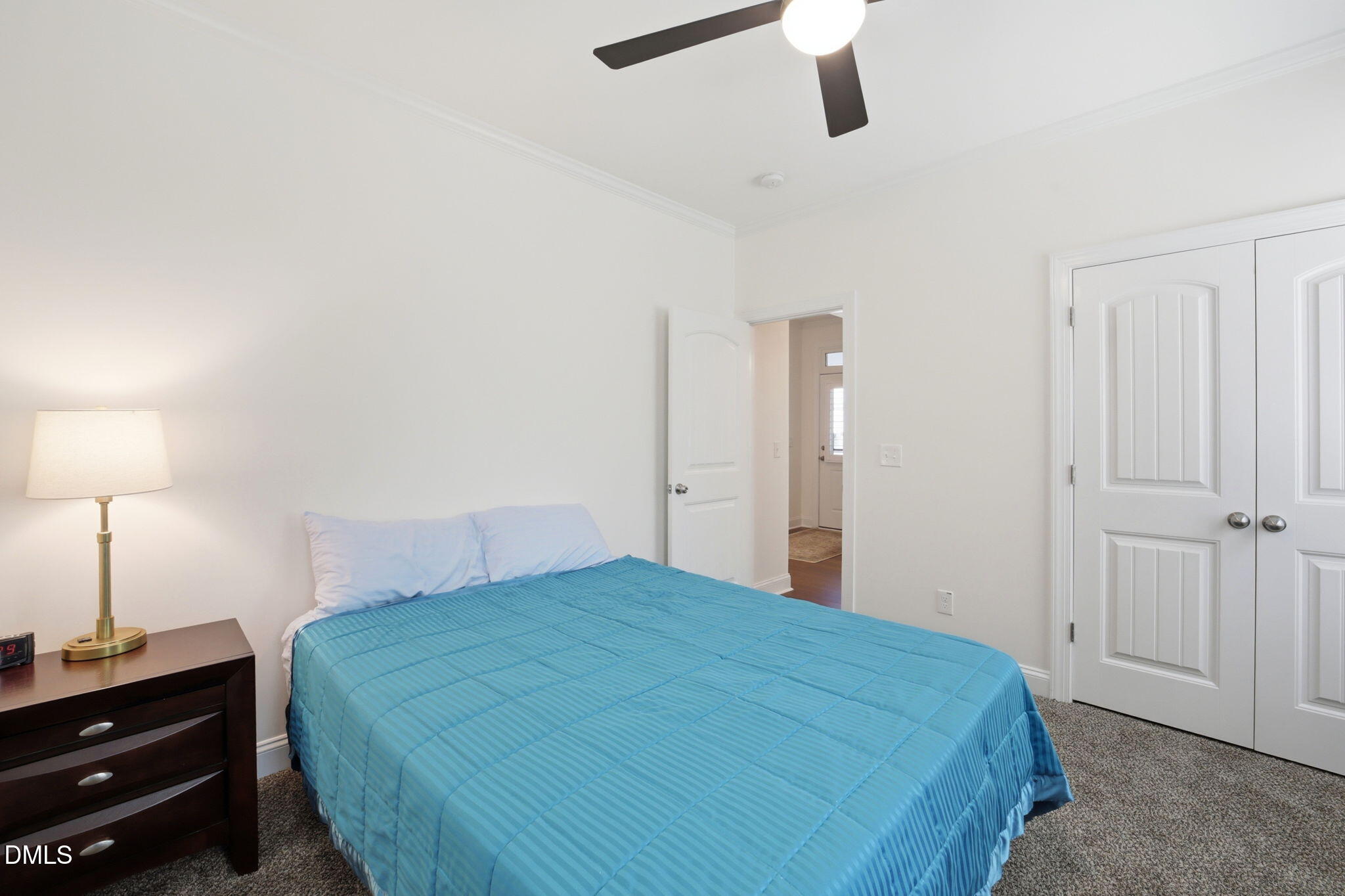 32 Kenilworth Street Property Photo 17