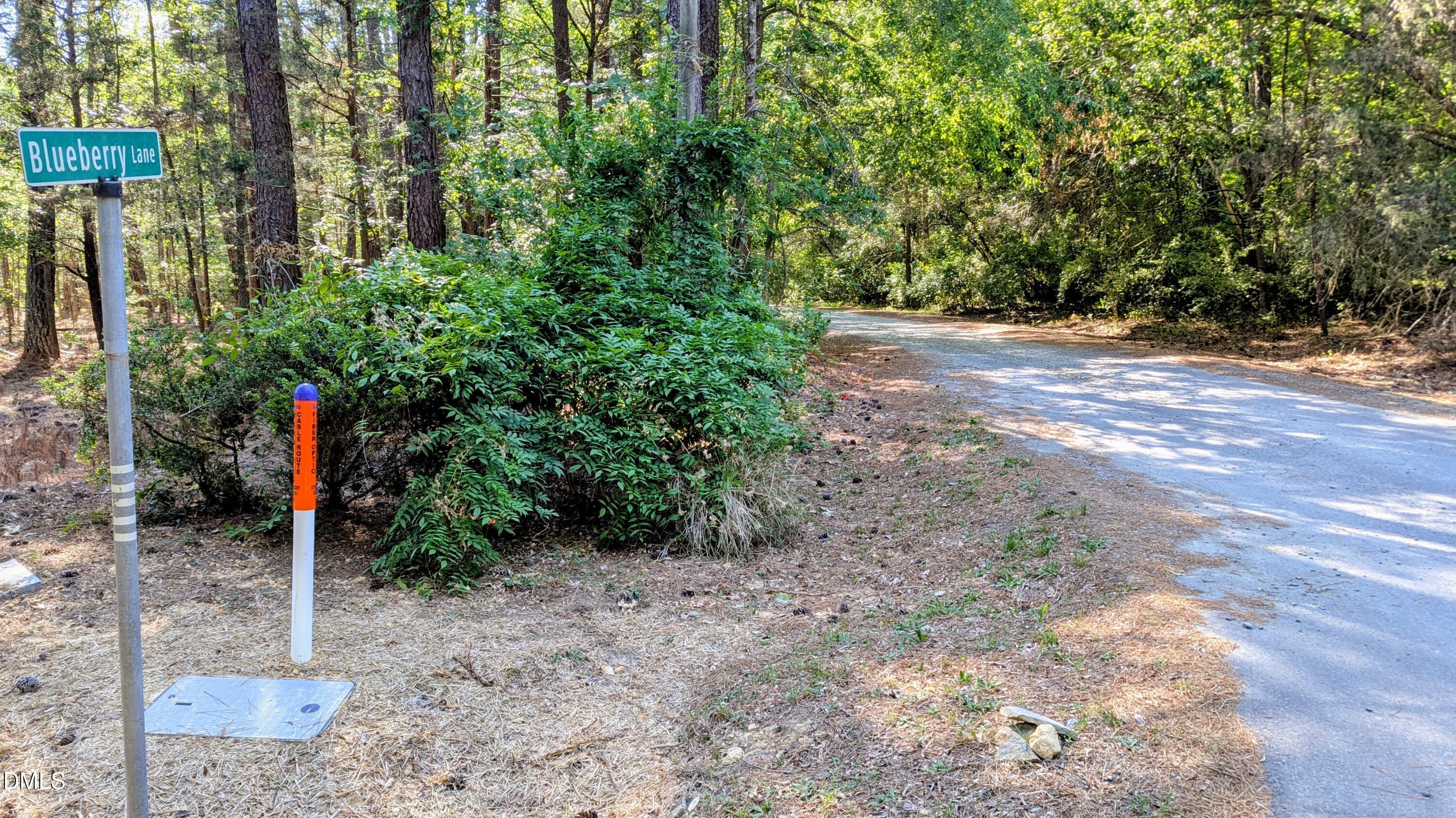 Lot 1 Blueberry Lane Property Photo 1