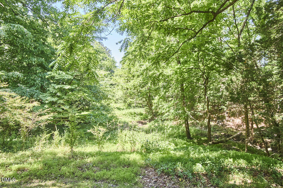 4204 Kerley Road Property Photo 11