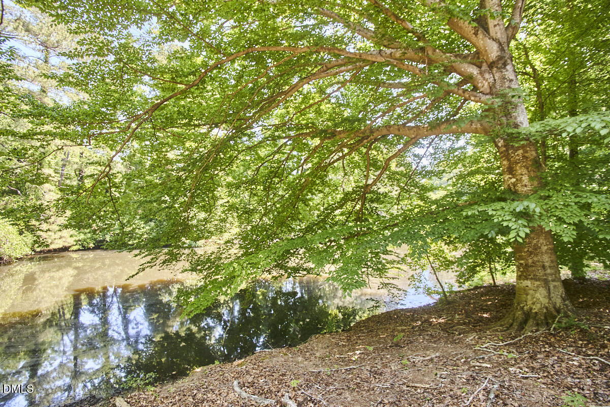 4204 Kerley Road Property Photo 19