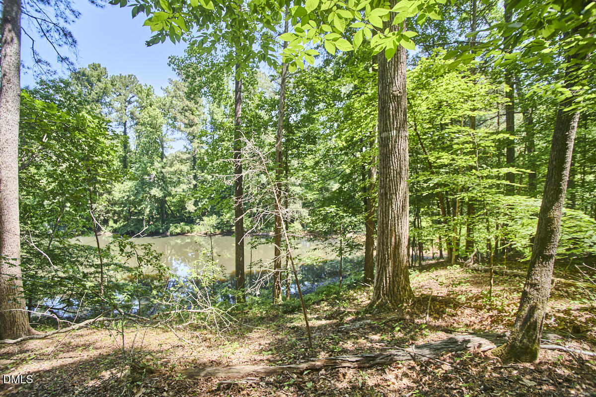 4204 Kerley Road Property Photo 20