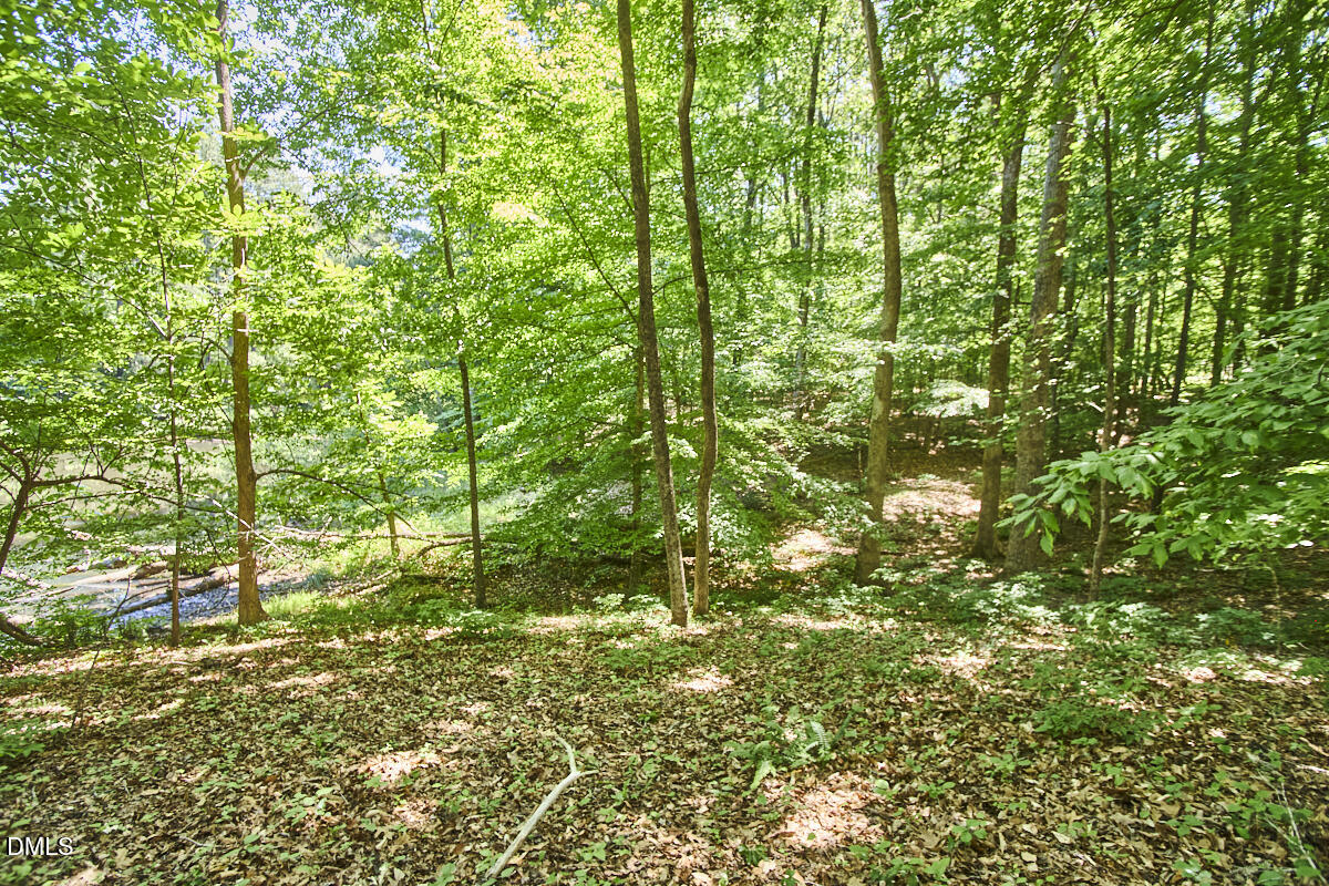 4204 Kerley Road Property Photo 22