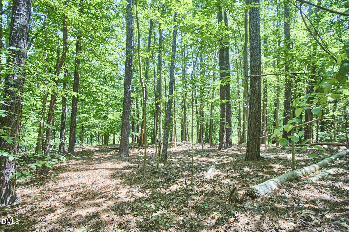 4204 Kerley Road Property Photo 23