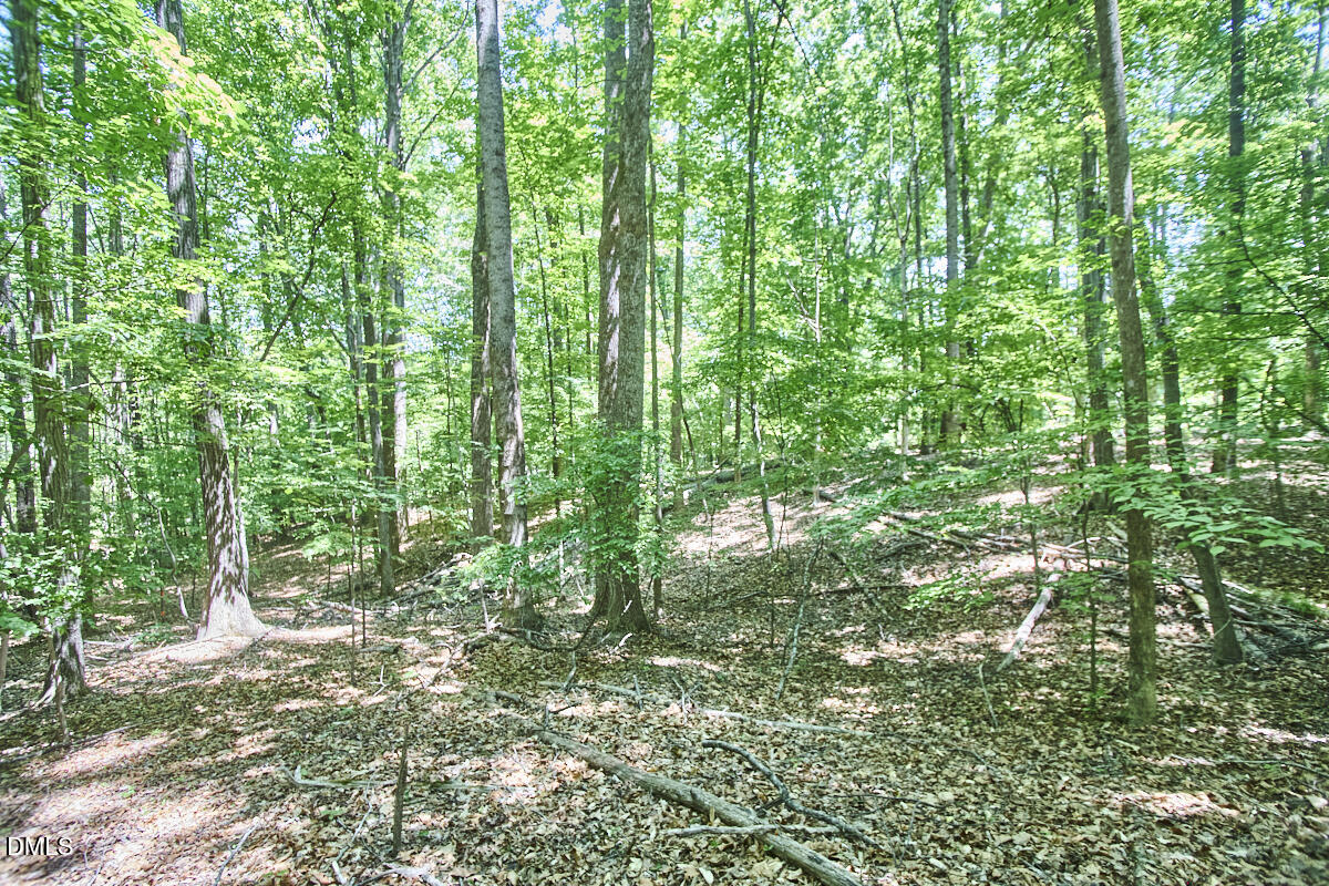 4204 Kerley Road Property Photo 24