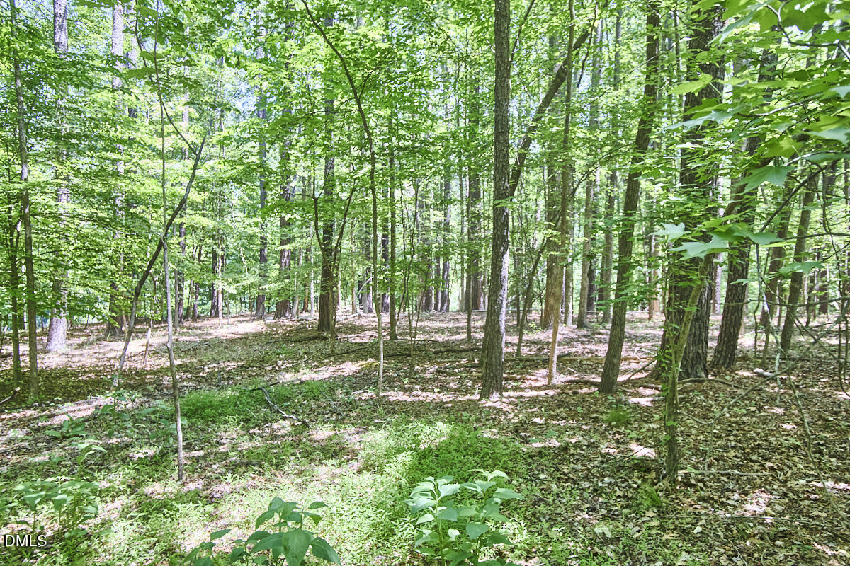 4204 Kerley Road Property Photo 25