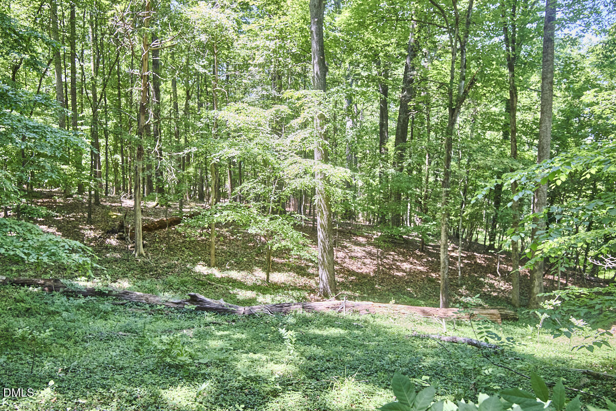 4204 Kerley Road Property Photo 26