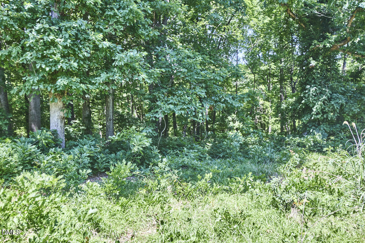 4204 Kerley Road Property Photo 27