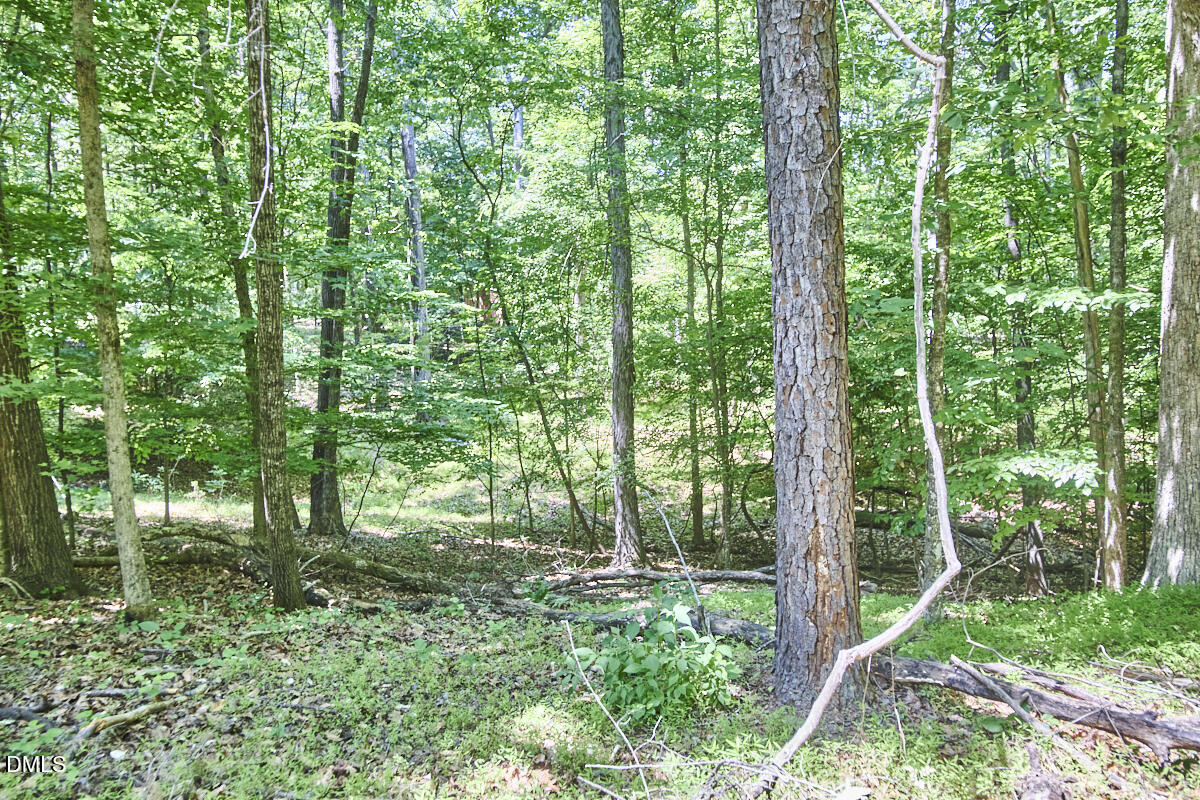 4204 Kerley Road Property Photo 28