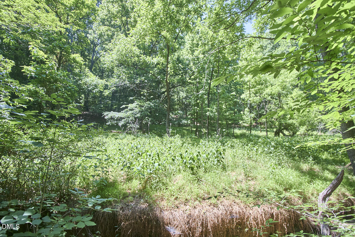 4204 Kerley Road Property Photo 29