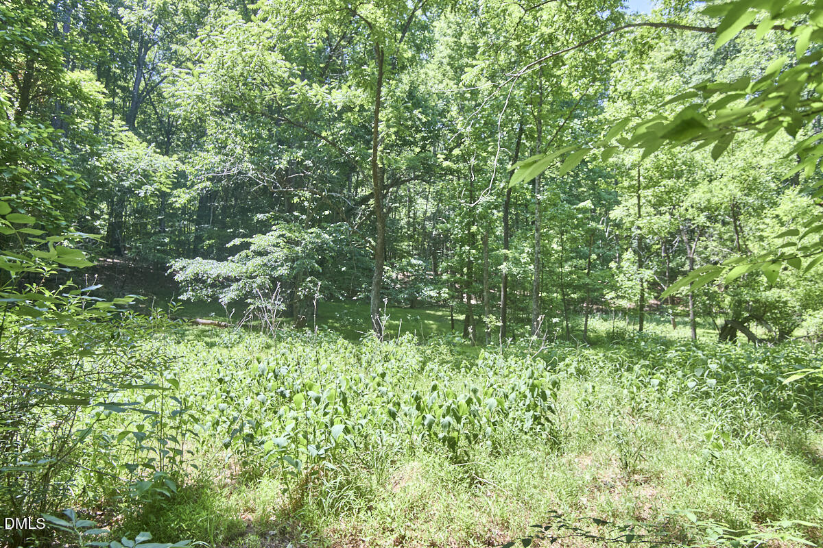 4204 Kerley Road Property Photo 30