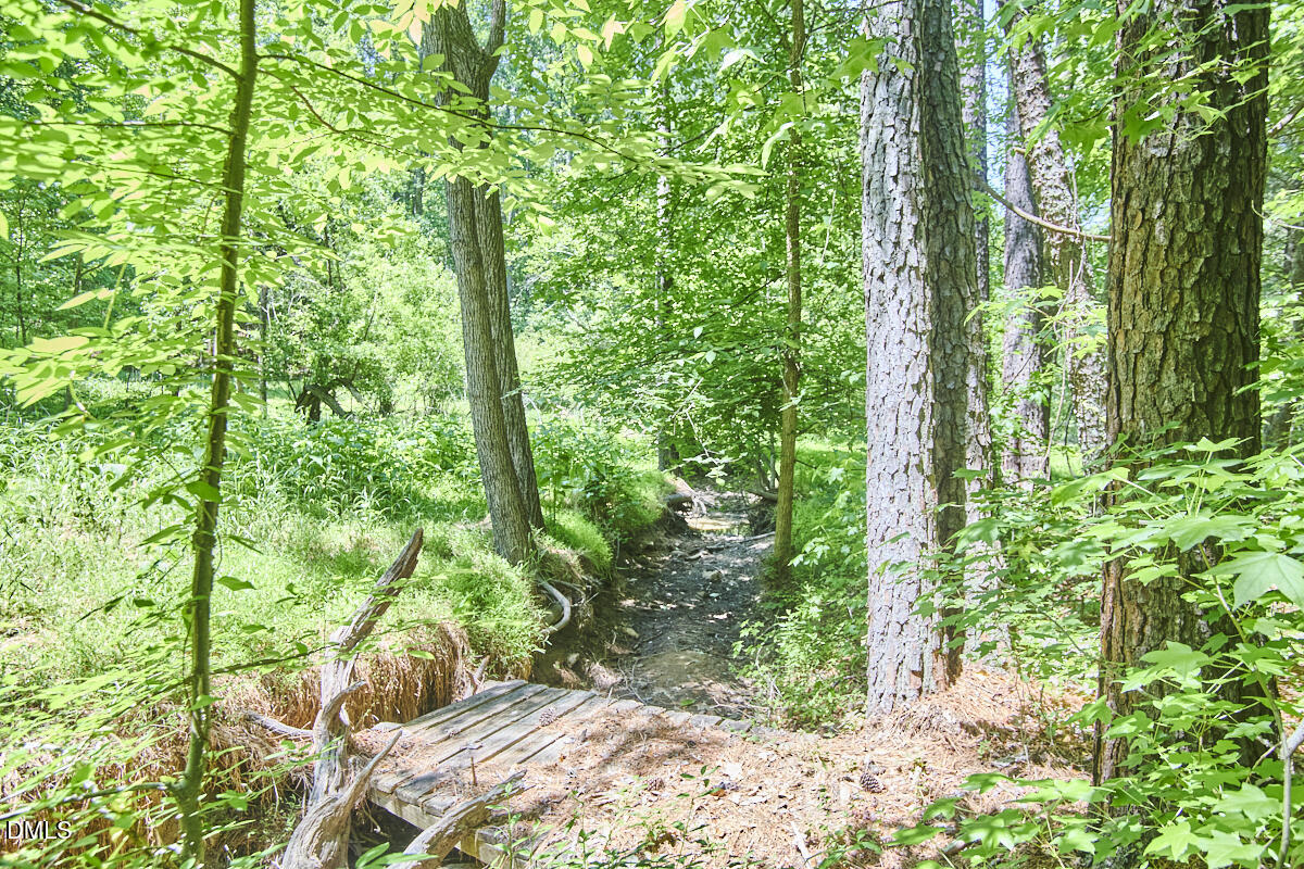 4204 Kerley Road Property Photo 31
