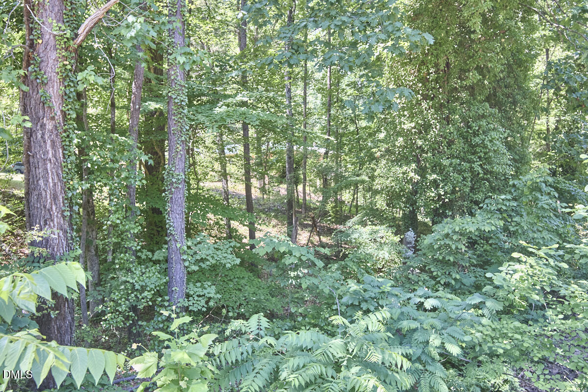 4204 Kerley Road Property Photo 32