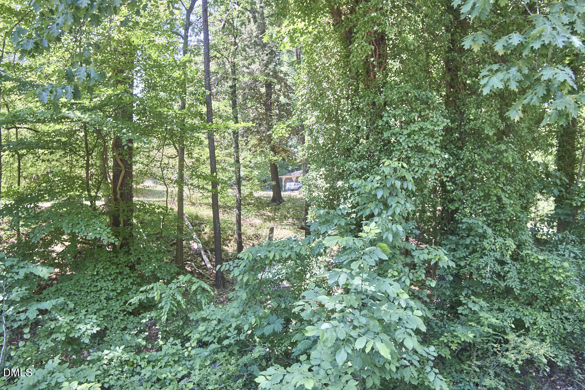 4204 Kerley Road Property Photo 33