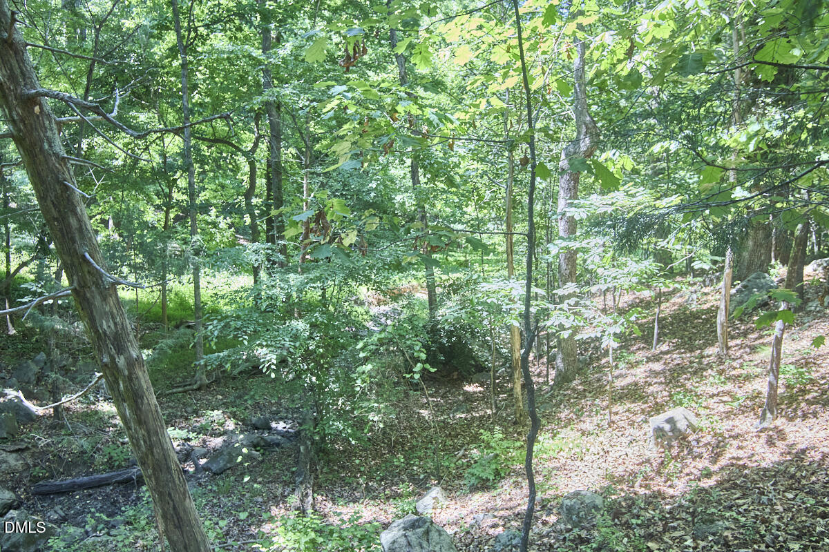 4204 Kerley Road Property Photo 34